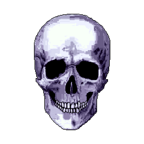 realistic skull photograph.png